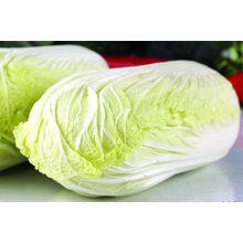 Pollution free frozen flowering cabbage Fresh Chinese Cabbage